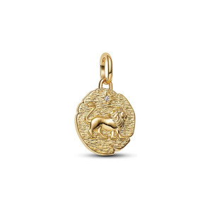 Pandora Charm ME 763974C01