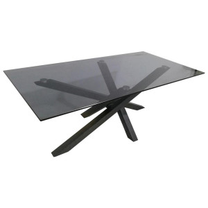 Xora Couchtisch, Grau, Schwarz, Metall, Glas, rechteckig, eckig, 60x45x120 cm, einfacher Aufbau, Wohnzimmer, Wohnzimmertische, Couchtische,