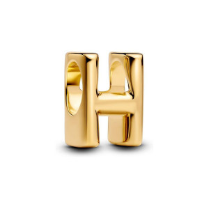 Pandora Charm Moments 763954C00