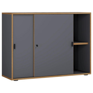 Livetastic Aktenschrank, Anthrazit, Honigeiche, Holzwerkstoff, 1 Fächer, 100x74x37 cm, abschließbar, Arbeitszimmer, Aktenschränke