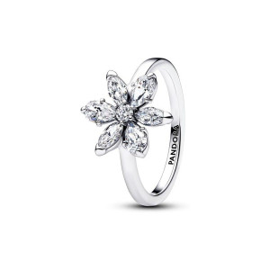Pandora Damenring Timeless 193000C02-52