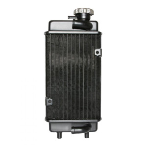 1Tek Origine Radiateur 1Tek pour Generic Trigger 50