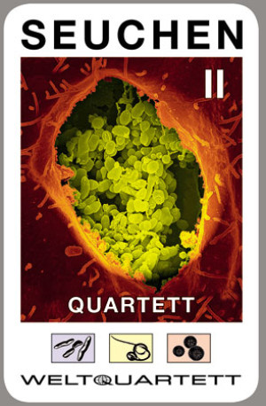 Kartenspiel Seuchen Quartett II (mit COVID-19 Karte)