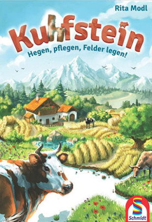 Schmidt Brettspiel Kuhfstein