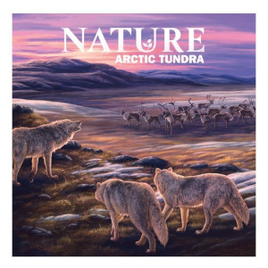 Kartenspiel Nature | Tundra Module - Erweiterung (en)
