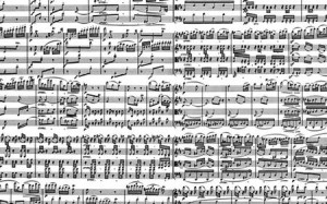 Musical Notes