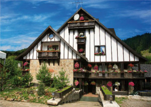 D-Toys-Puzzle 1000 Teile: Hotel Plai de dor