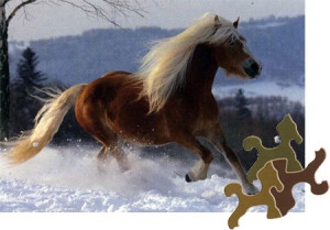 D-Toys-Puzzle 239 Teile: Haflinger im Schnee