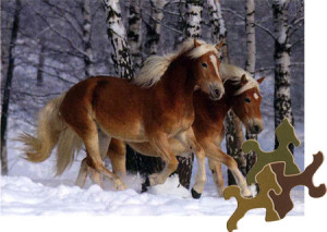 Haflinger-Pärchen im schneebedeckten Wald