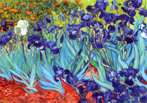 Irisblüten, van Gogh