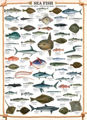 Eurographics-Puzzle 1000 Teile: Salzwasserfische