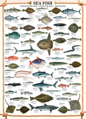 Salzwasserfische