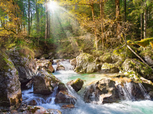 Castorland-Puzzle 2000 Teile: Strom im Wald