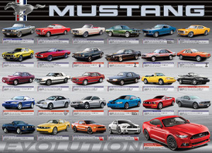 Eurographics-Puzzle 1000 Teile: Ford Mustang Evolution 50th Anniversary