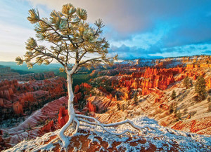 Eurographics-Puzzle 1000 Teile: Sonnenaufgang im Grand Canyon