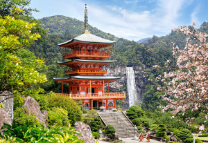 Castorland-Puzzle 1000 Teile: Seiganto-Tempel in Japan
