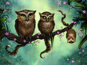 Katzeneulen