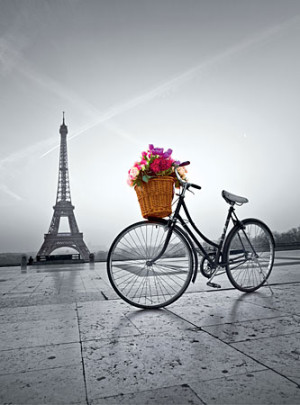 Clementoni-Puzzle 500 Teile: Romantische Promenade in Paris