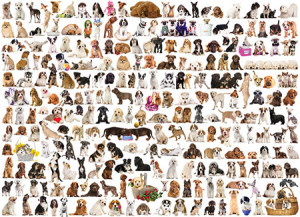 Eurographics-Puzzle 1000 Teile: Welt der Hunde