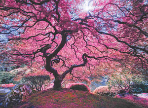 Perre-Puzzle 1000 Teile: Baum voller pinker Blüten