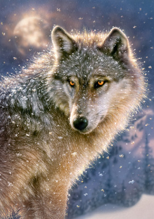 Einsamer Wolf im Schneetreiben