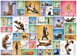 Collage - Yoga Katzen