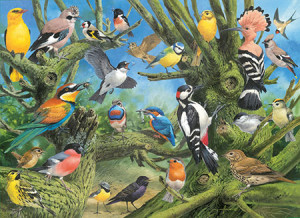 Eurographics-Puzzle 1000 Teile: Gartenvögel