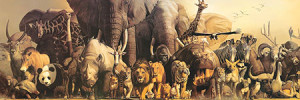 Eurographics-Puzzle 1000 Teile: Tiere der Arche Noah