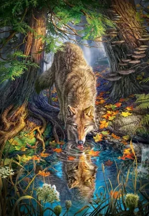 Wilder Wolf