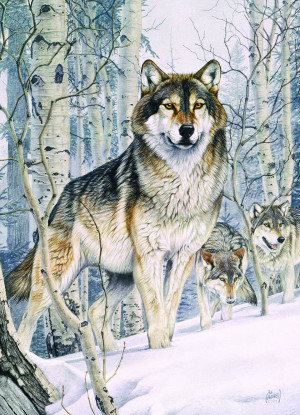 Cobble Hill-Puzzle 1000 Teile: Wolf im Winterwald