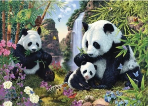Dinotoys-Puzzle 1000 Teile: Secret Puzzle - Pandafamilie