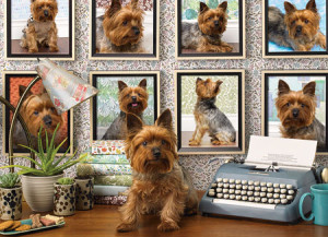 Cobble Hill-Puzzle 1000 Teile: Ich liebe Yorkies