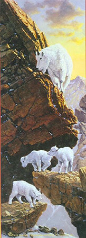 Bergziegen