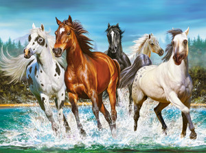 Castorland-Puzzle 2000 Teile: Ruf der Natur