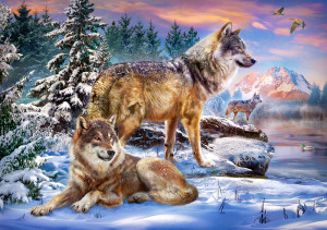 Castorland-Puzzle 500 Teile: Wölfe im Winterwald