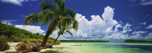 Heye-Puzzle 2000 Teile: Edition Humboldt - Strand im Paradies