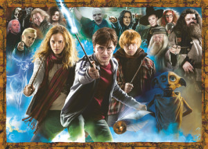 Der Zauberschüler Harry Potter
