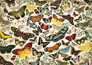 Jumbo-Puzzle 1000 Teile: Schmetterlings Plakat