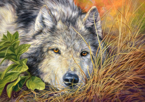 Castorland-Puzzle 500 Teile: Eindringlicher Blick
