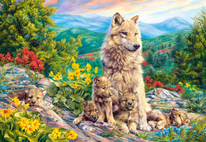 Castorland-Puzzle 1000 Teile: Eine neue Generation