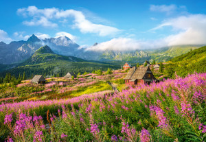 Hala Gąsienicowa, Tatra, Polen