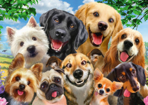 Hunde-Selfie