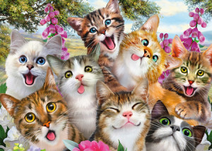 Katzen-Selfie