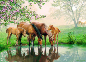 Pferdefamilie