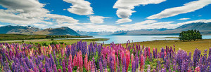 Edition Humboldt - Lake Tekapo