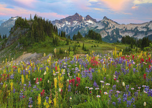 Heye-Puzzle 2000 Teile: Tatoosh Bergkette