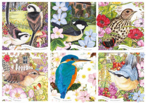 Singvögel-Collage
