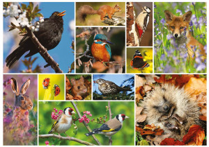 Otter House-Puzzle 1000 Teile: Tierbilder-Collage