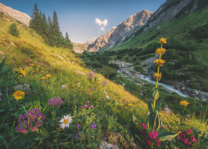 Ravensburger-Puzzle 1000 Teile: Im Garten Eden