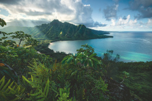 Ravensburger-Puzzle 5000 Teile: Atemberaubendes Hawaii
